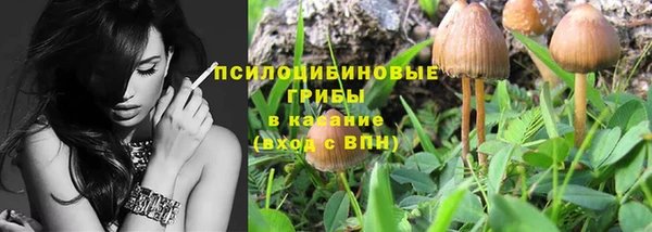 ешки Белая Холуница