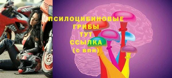 не бодяженный Верхний Тагил
